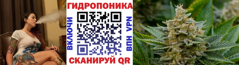 Как найти наркотики Заринск Alpha PVP Псилоцибиновые грибы Мефедрон ГАШИШ Канабис АМФЕТАМИН