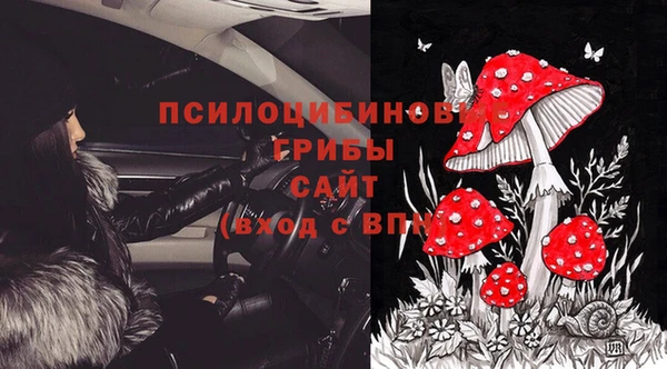 дживик Абаза