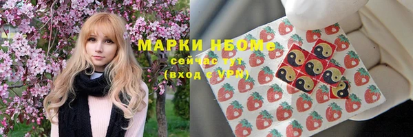 дживик Абаза