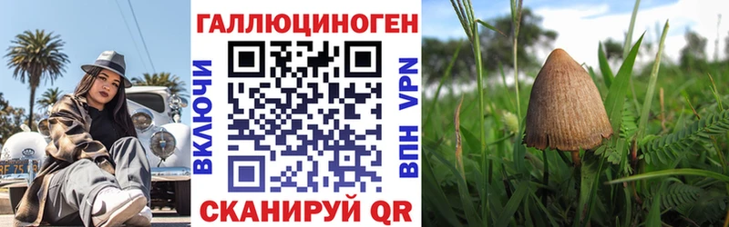 это официальный сайт Заринск Псилоцибиновые грибы Psilocybe блэк спрут рабочий сайт